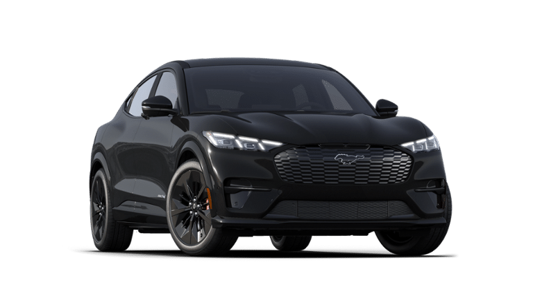 Mustang Mach-E® vehicle